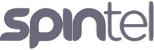 spintel logo